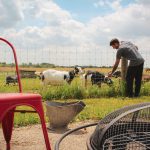 Udderly Ridiculous Farm Glamping