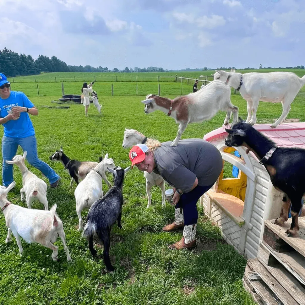 Guest bending over to let goats jump on her back during the Goat Recess experience in the pasture at Udderly Ridiculous Farm Life, with Lexi facilitating nearby.