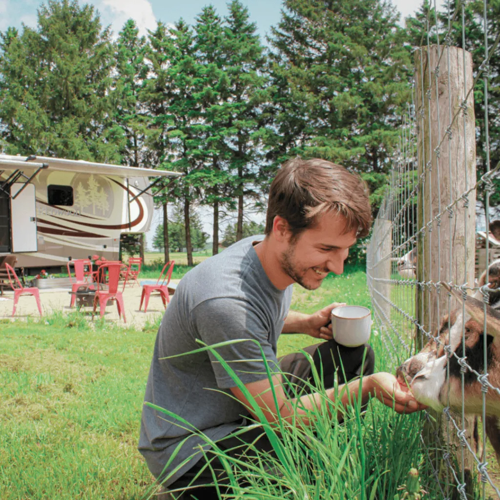 Guest interacting with goats through a fence while enjoying a cup of coffee, with the RV accommodation for the Farm Glamping experience visible in the background at Udderly Ridiculous Farm Life