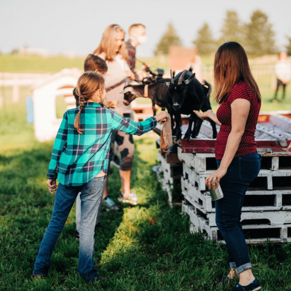 Families and children feeding goats during the Taste of Farm Life (Family Friendly) experience at Udderly Ridiculous Farm Life.