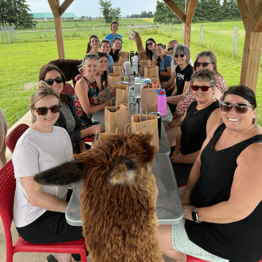 A large group of guests seated under a covered picnic area, enjoying the Alpaca Lunch Picnic experience with alpacas roaming around at Udderly Ridiculous Farm Life.