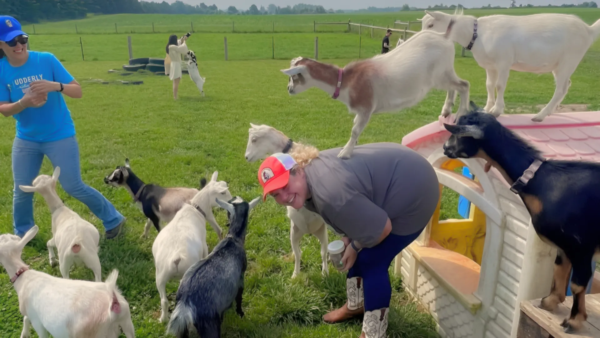 Goat Recess | Udderly Ridiculous Farm Life