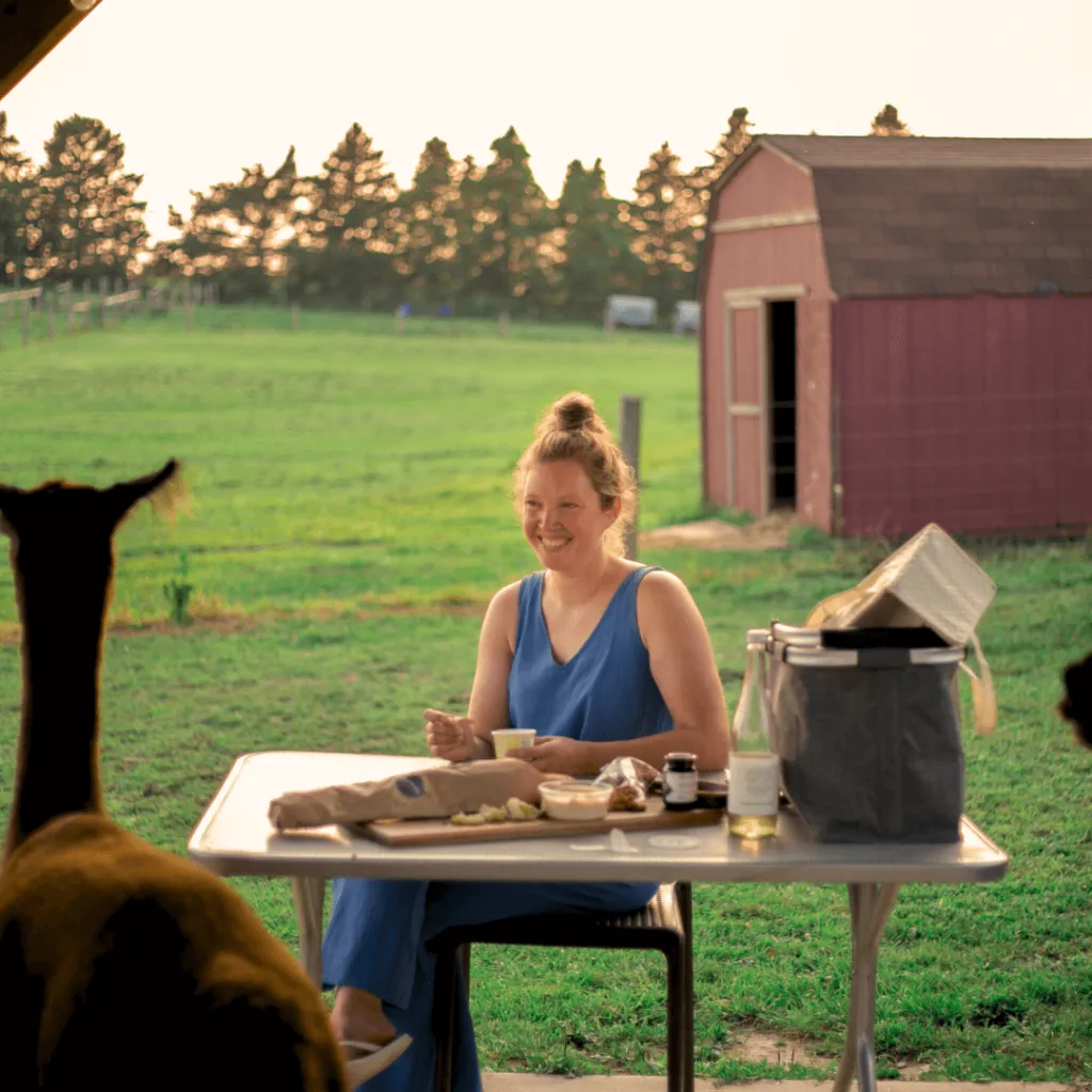A guest smiling and enjoying a charcuterie picnic at sunset during the Alpaca Sunset Picnic at Udderly Ridiculous Farm Life, with alpacas grazing nearby and a red barn in the background.