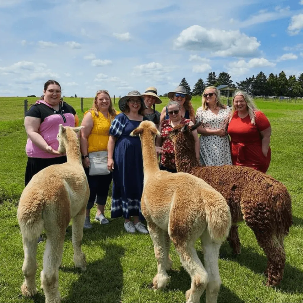A group of smiling women posing with friendly alpacas at Udderly Ridiculous Farm Life, enjoying a sunny day in the lush green pasture.