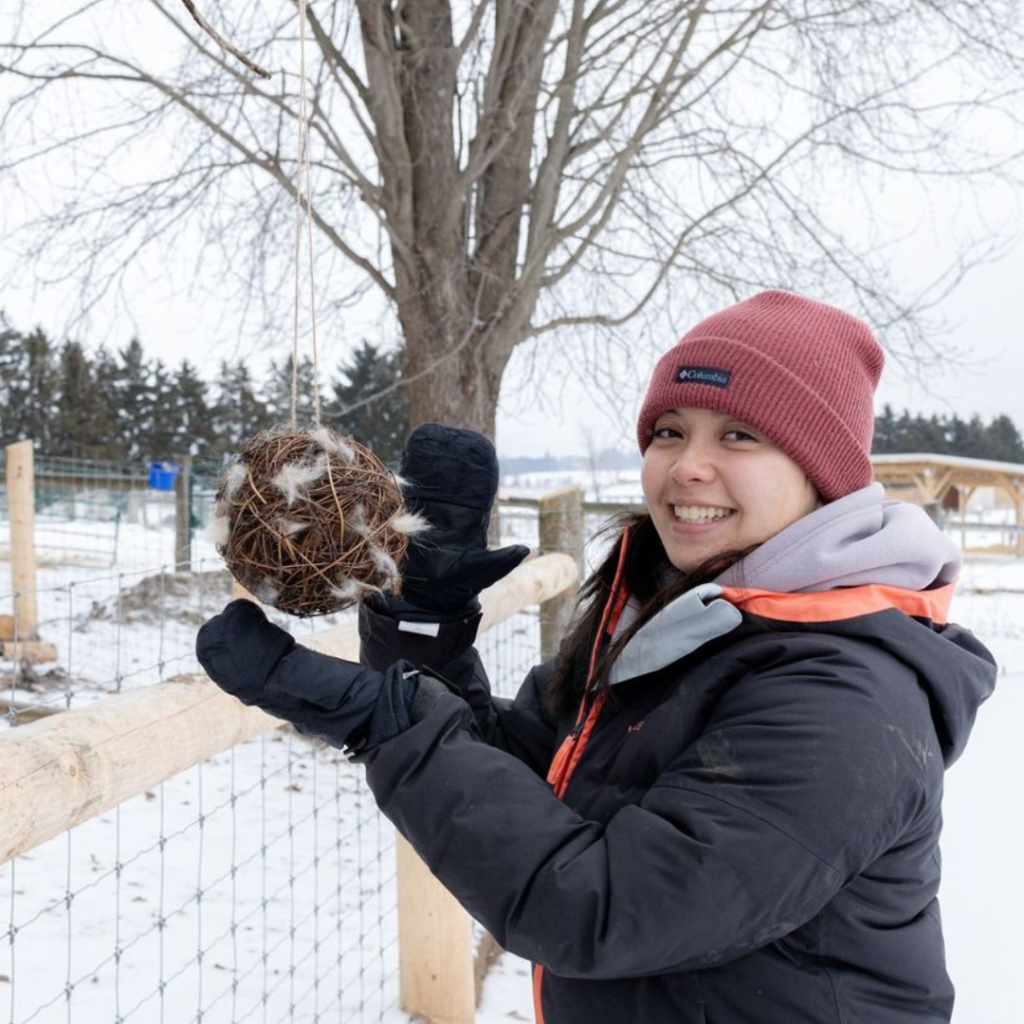 Smiling guest hanging a finished fibre nesting ball made from alpaca fleece during the Alpaca Experience and Fibre Nesting Ball Workshop at Udderly Ridiculous Farm Life.