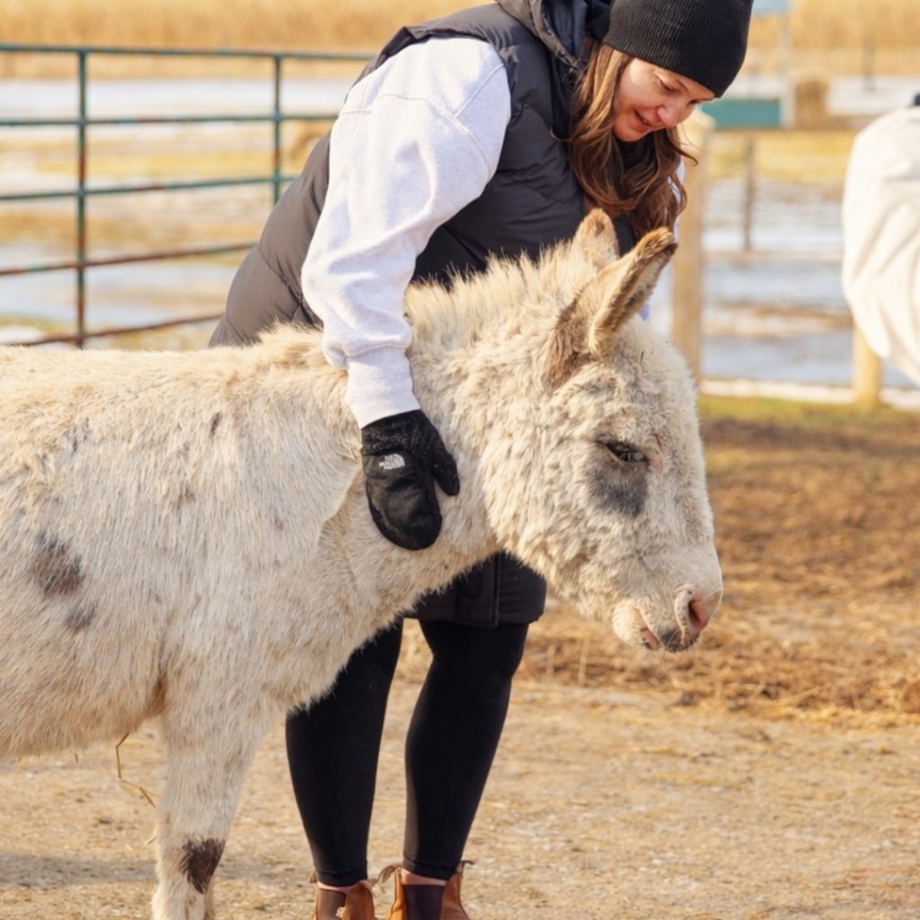 Miniature Donkey Visits & Snuggles