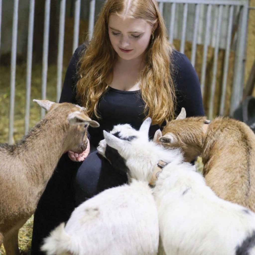 Website Assets, Square (5)