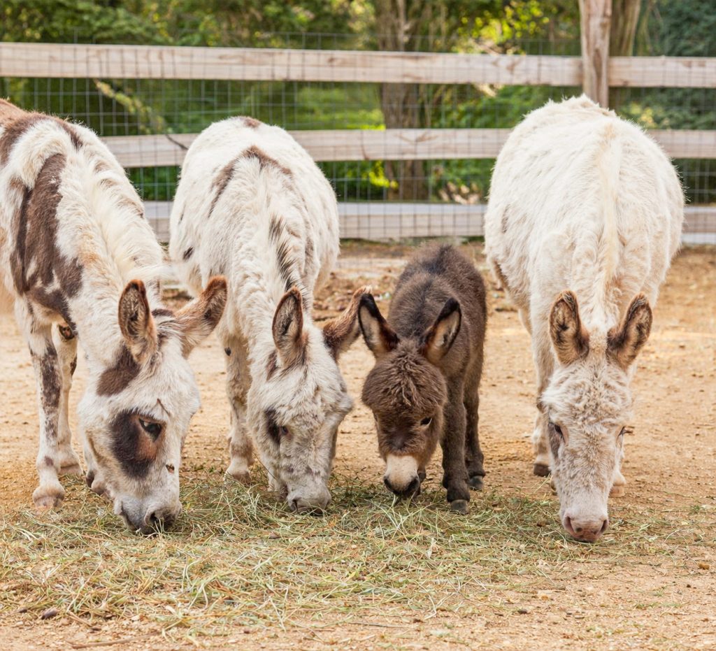 895D0AC5-B18F-4850-82EF-69C5048C6FD1